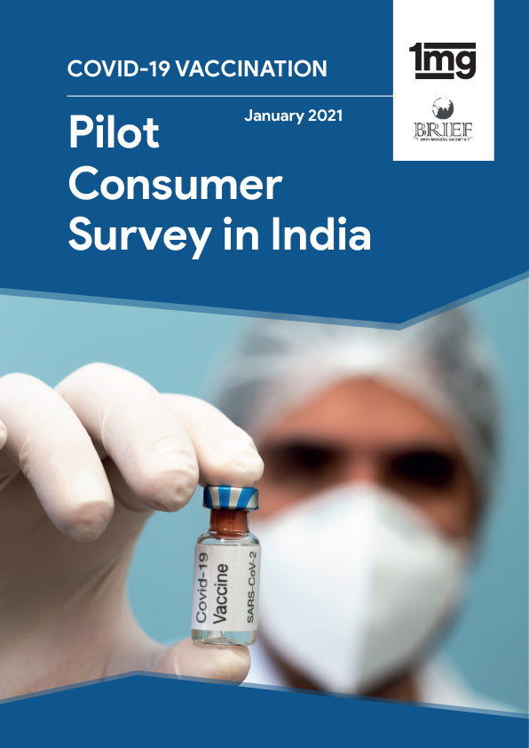 Pilot Consumer Survey in India